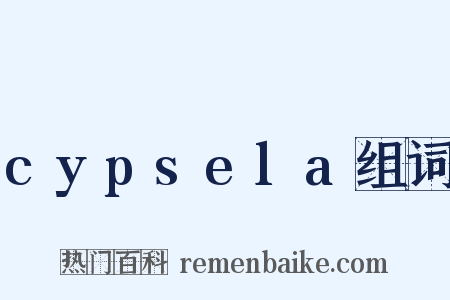 cypsela组词是什么意思的图片